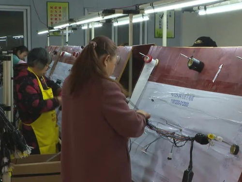 劳务服务 乐至县乡村振兴的新引擎