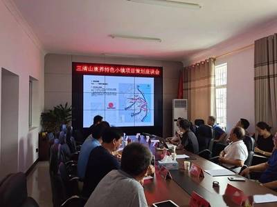 三清山康养特色小镇项目策划座谈会顺利召开，共谋旅游开发新篇章